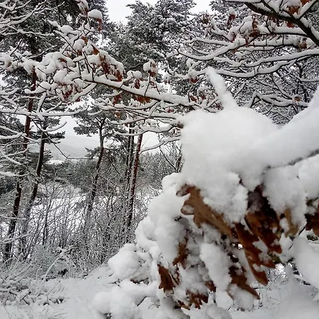 בית נופש Jugendherberge Hellenthal