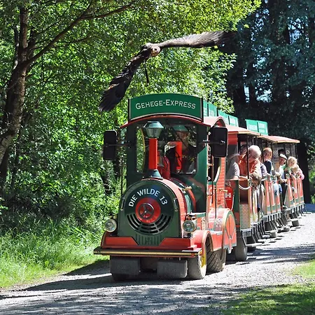 בית נופש Jugendherberge Hellenthal