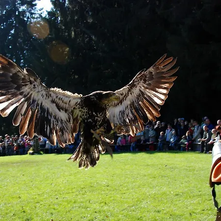 Jugendherberge Hellenthal *