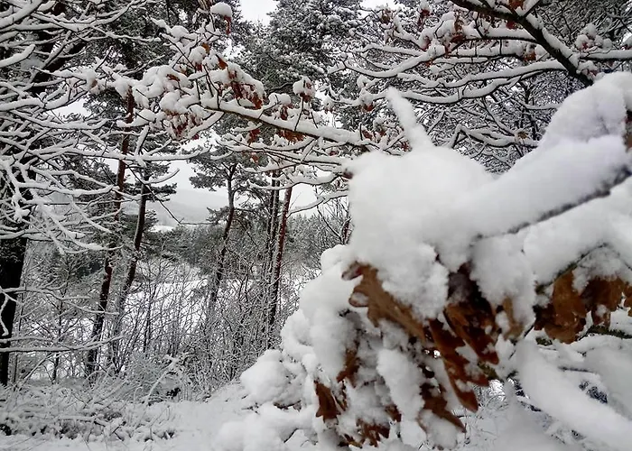 Feriehus Jugendherberge Hellenthal
