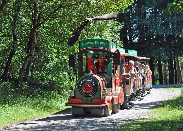 Feriehus Jugendherberge Hellenthal