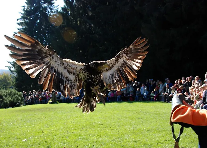 Jugendherberge Hellenthal *
